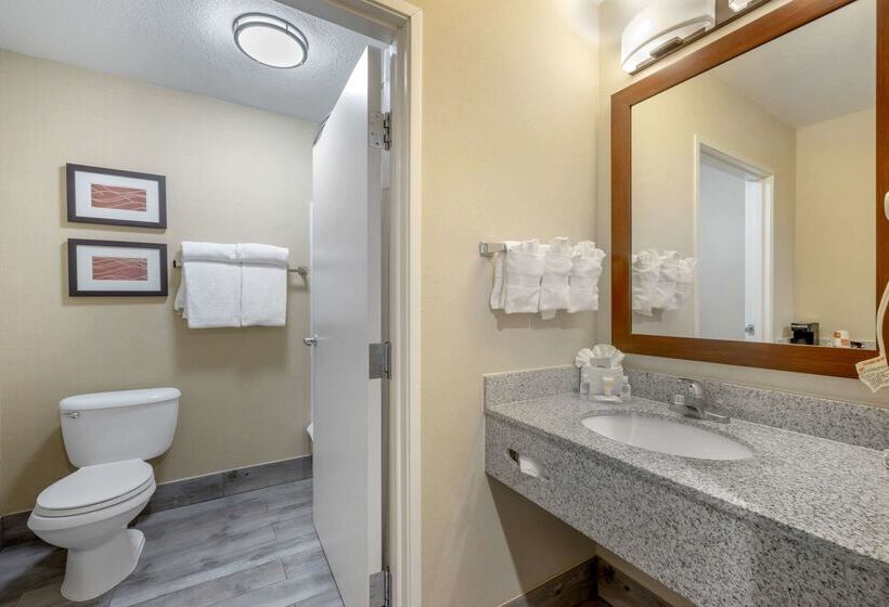 בית מלון כפרי Comfort Inn & Suites Orem  Provo