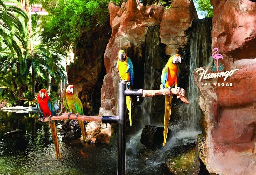 Fotos del hotel Flamingo Las Vegas Hotel & Casino:  28