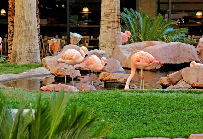 Fotos del hotel Flamingo Las Vegas Hotel & Casino:  3