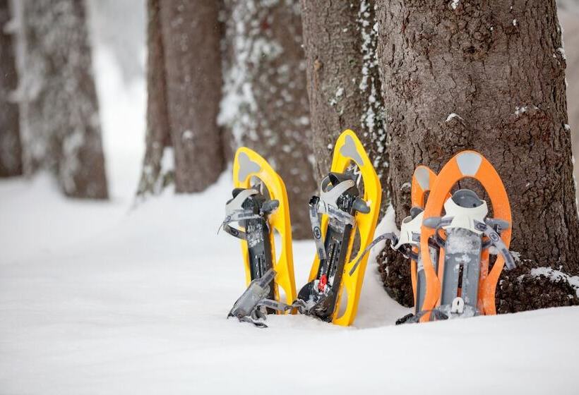 فندق Four Chimneys Inn