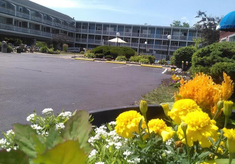 هتل The Grand Beach Inn