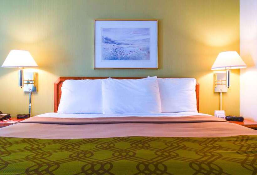 汽车旅馆  Econo Lodge