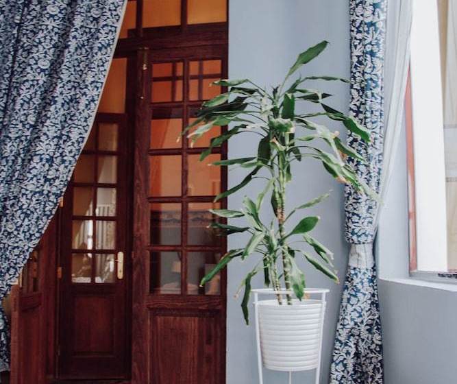 Casa Vegana B&b