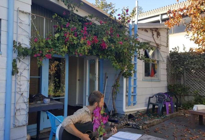 فندق صغير Napier Art House Backpackers