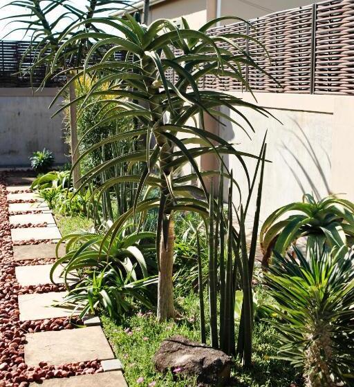 Bed and Breakfast Aloes No.21