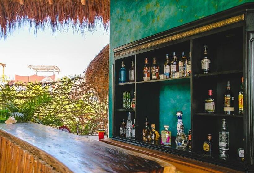 هتل La Puerta Azul Beachfront  Adults Only