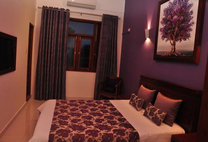 膳宿费 The Roxbury