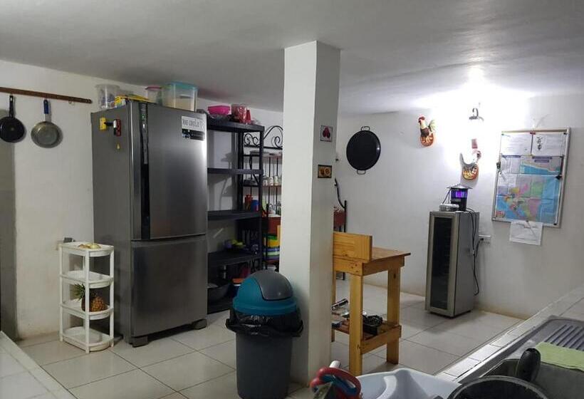 هاستل Tapihouse