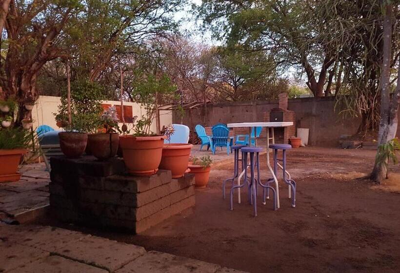 هاستل Tapihouse