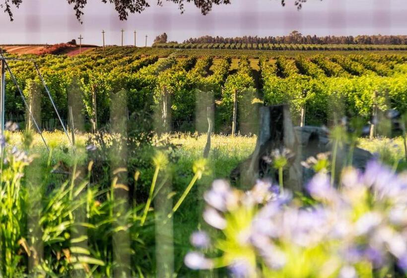 فندق Casa De Aitona Bodega Zubizarreta