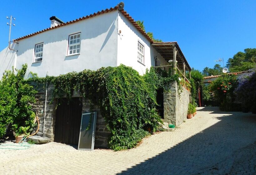 تختخواب و صبحانه Quinta Da Estrada Winery Douro Valley