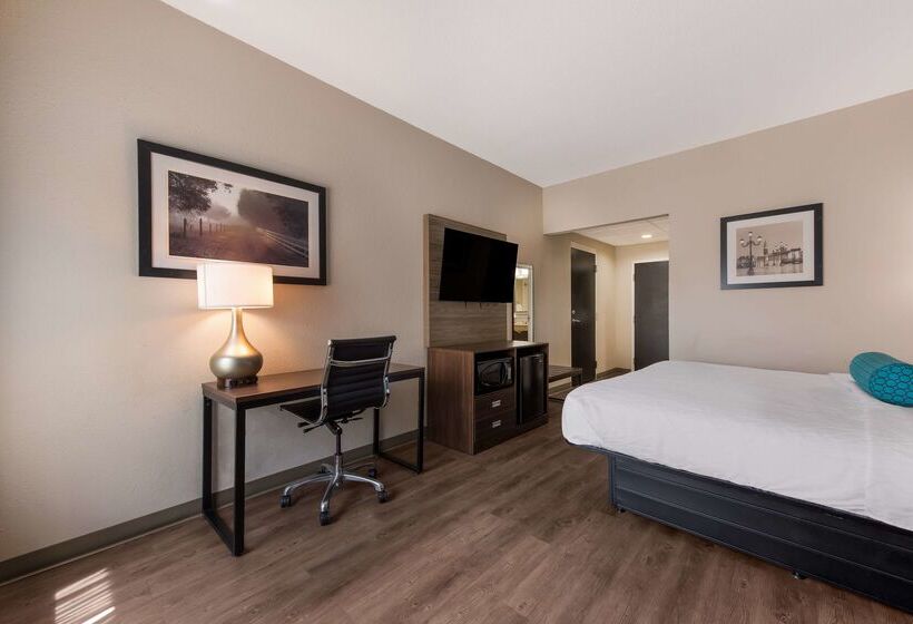 فندق Best Western Albemarle Inn