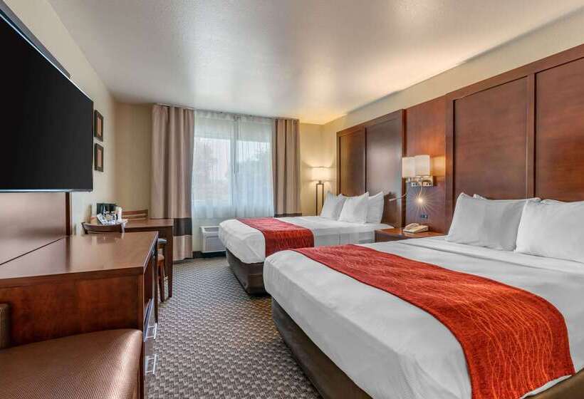ホテル Comfort Inn Fairfield Napa Valley Area
