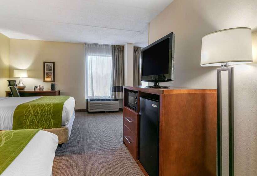 هتل Comfort Inn Downtown Chattanooga