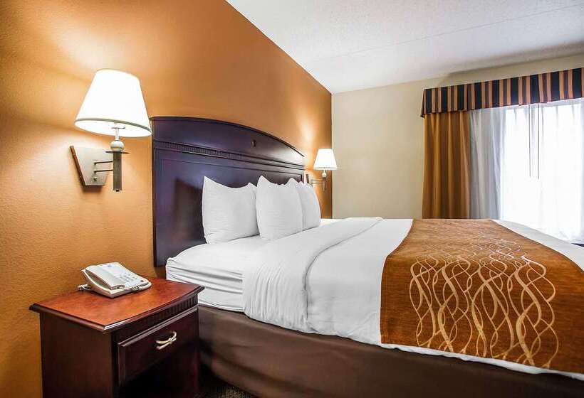 호텔 Comfort Inn & Suites Somerset  New Brunswick