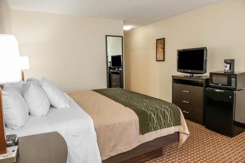 ホテル Comfort Inn & Suites Warsaw Near Us30