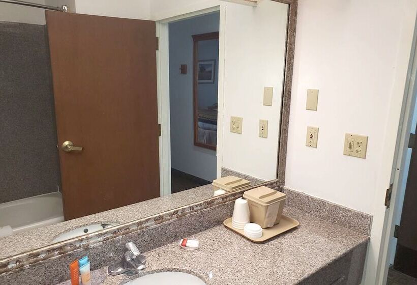 호텔 Coratel Inn & Suites By Jasper New Braunfels Ih 35 Ext 189