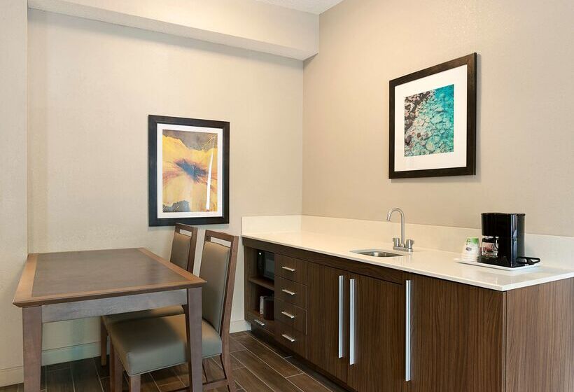 ホテル Hampton Inn & Suites Charlotte/pineville