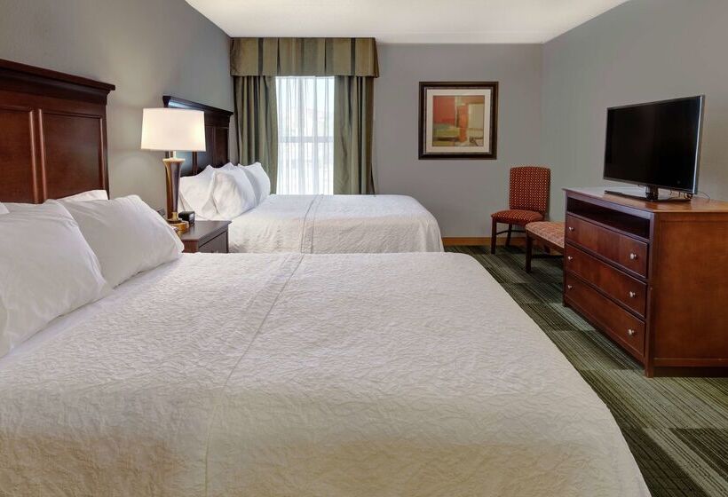 هتل Hampton Inn & Suites Pigeon Forge On The Parkway