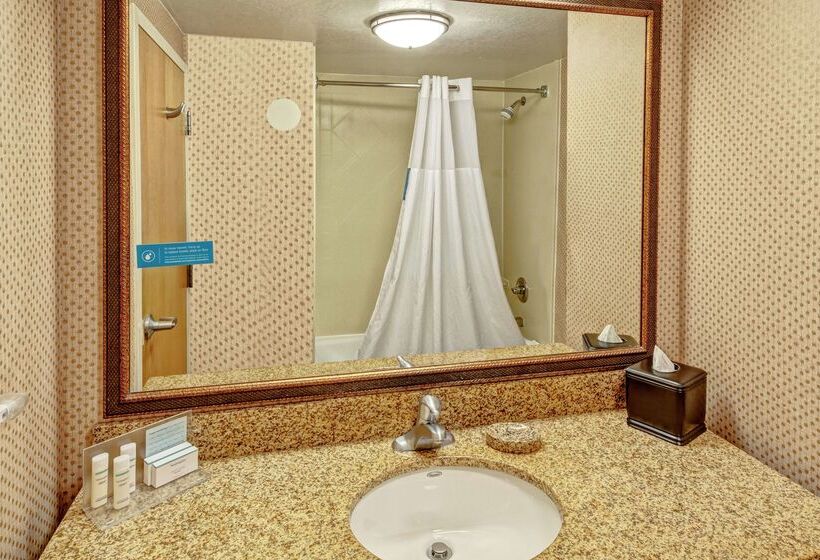 هتل Hampton Inn & Suites Pigeon Forge On The Parkway