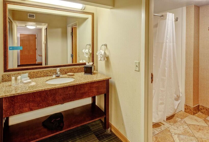 Hôtel Hampton Inn And Suites Pigeon Forge Music Road