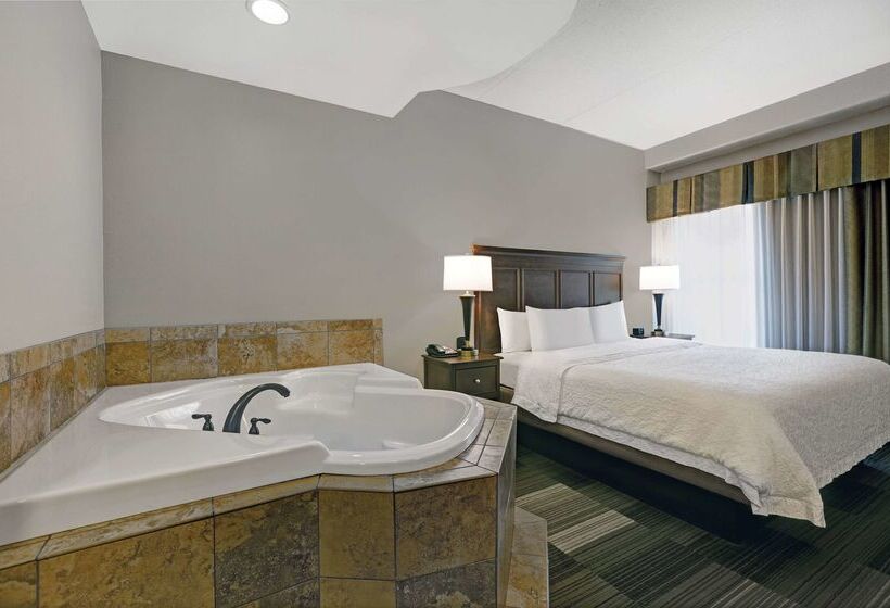 هتل Hampton Inn & Suites Pigeon Forge On The Parkway