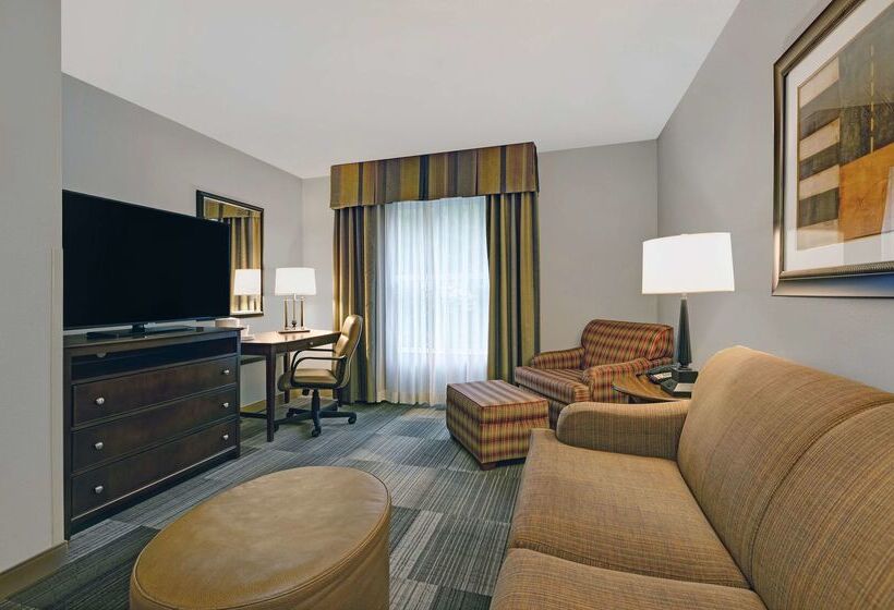 هتل Hampton Inn And Suites Pigeon Forge Music Road