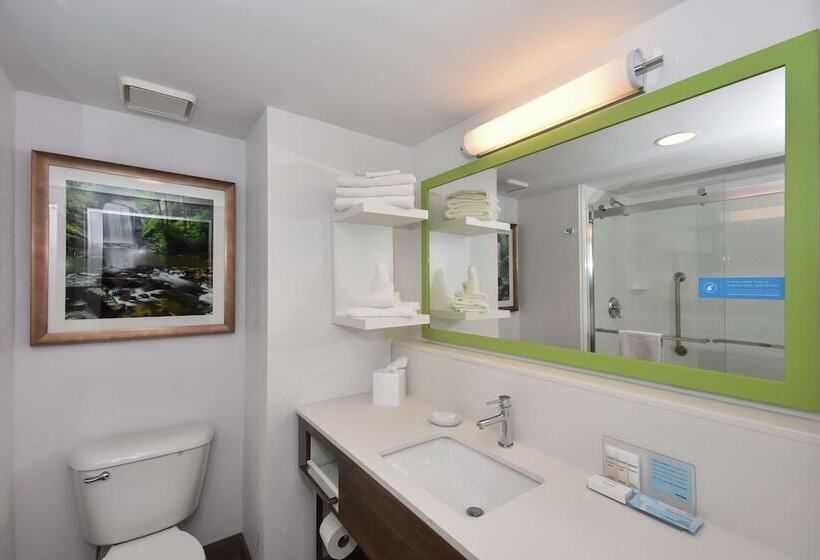 Отель Hampton Inn Brevard