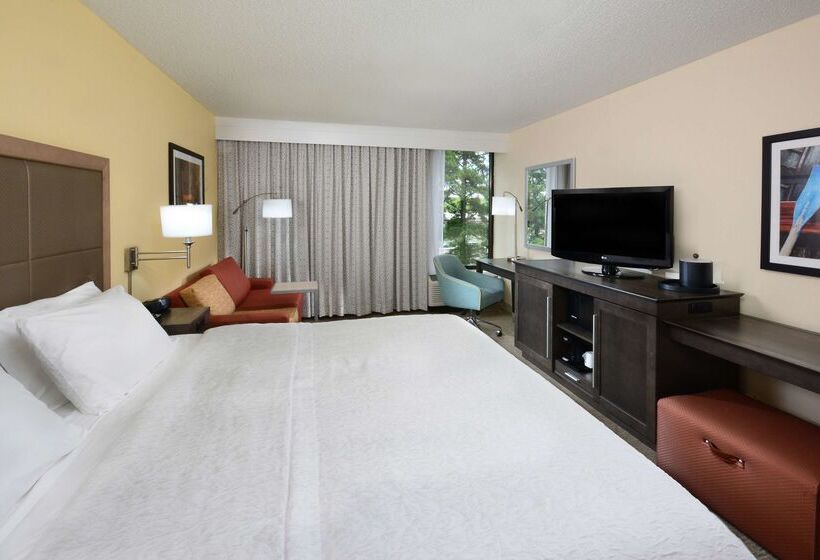ホテル Hampton Inn Charlottenorth/lake Norman