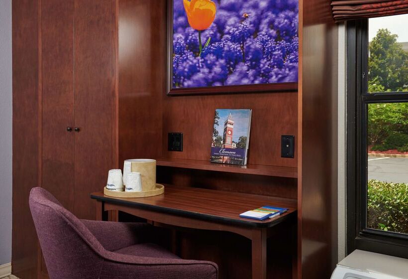 هتل Hampton Inn Clemsonuniversity Area