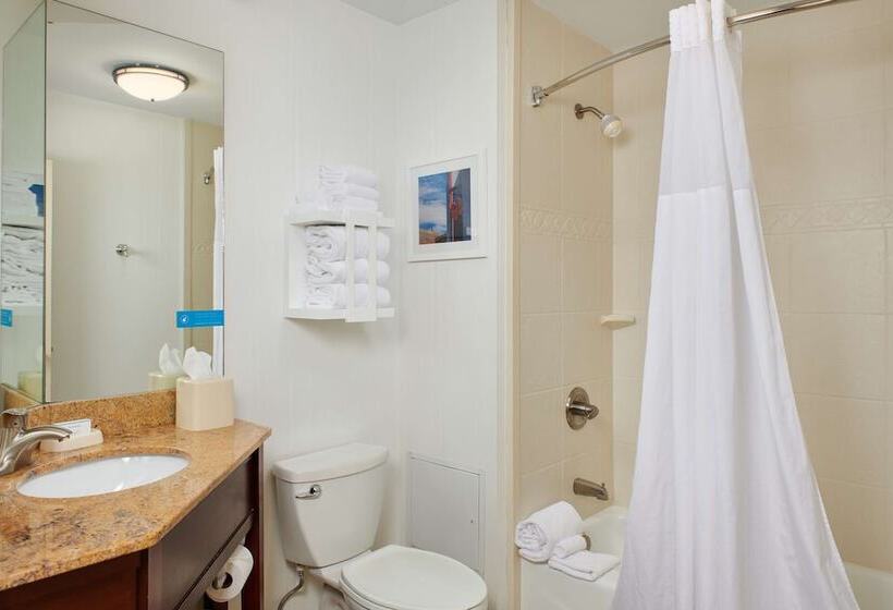 هتل Hampton Inn Clemsonuniversity Area