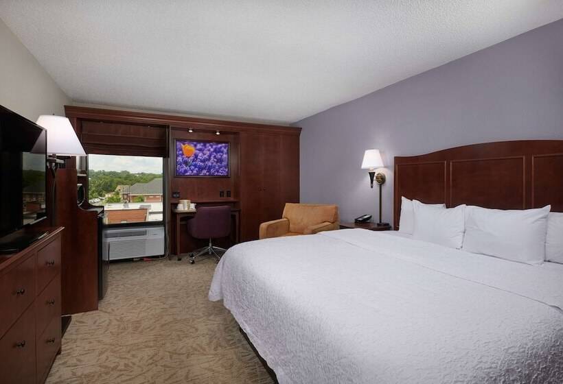 هتل Hampton Inn Clemsonuniversity Area