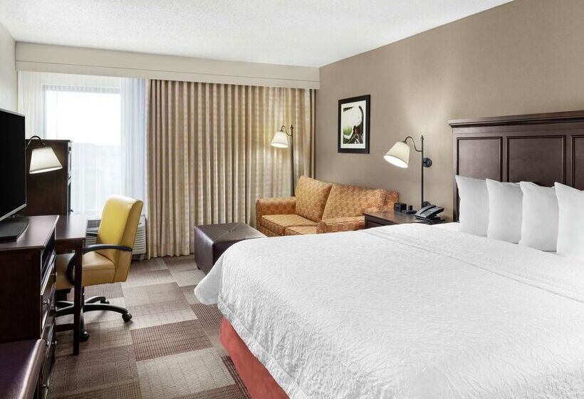 فندق Hampton Inn Dallasirvinglas Colinas