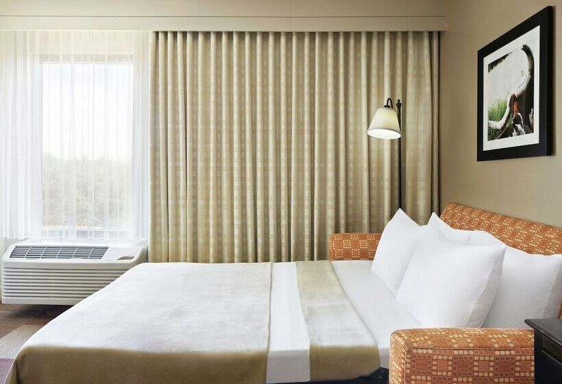 Hôtel Hampton Inn Dallasirvinglas Colinas