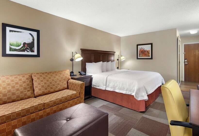 هتل Hampton Inn Dallasirvinglas Colinas