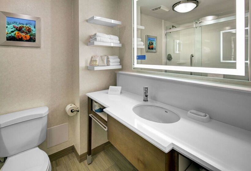 בית מלון כפרי Hampton Inn Ft. Lauderdale West/pembroke Pines