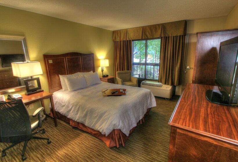 酒店 Hampton Inn Gatlinburg