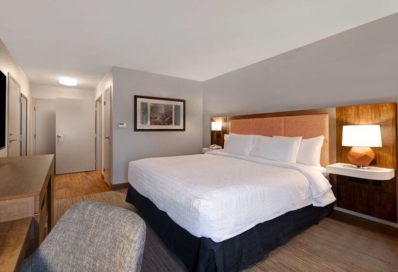 ホテル Hampton Inn Hot Springs