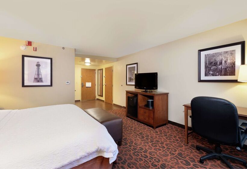 호텔 Hampton Inn Houma