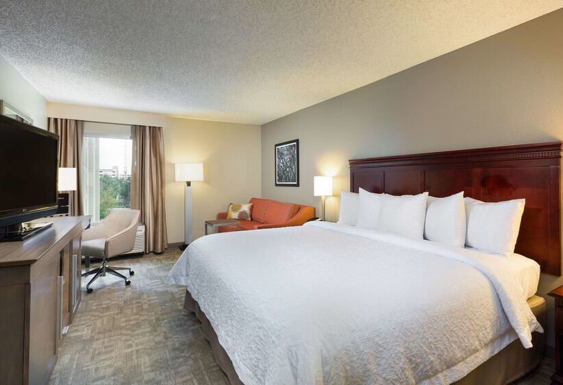 Fotos del hotel Hampton Inn Houston Near The Galleria:  18