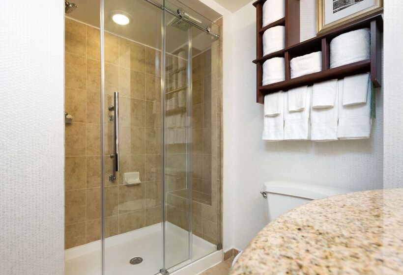 Fotos del hotel Hampton Inn Houston Near The Galleria:  37