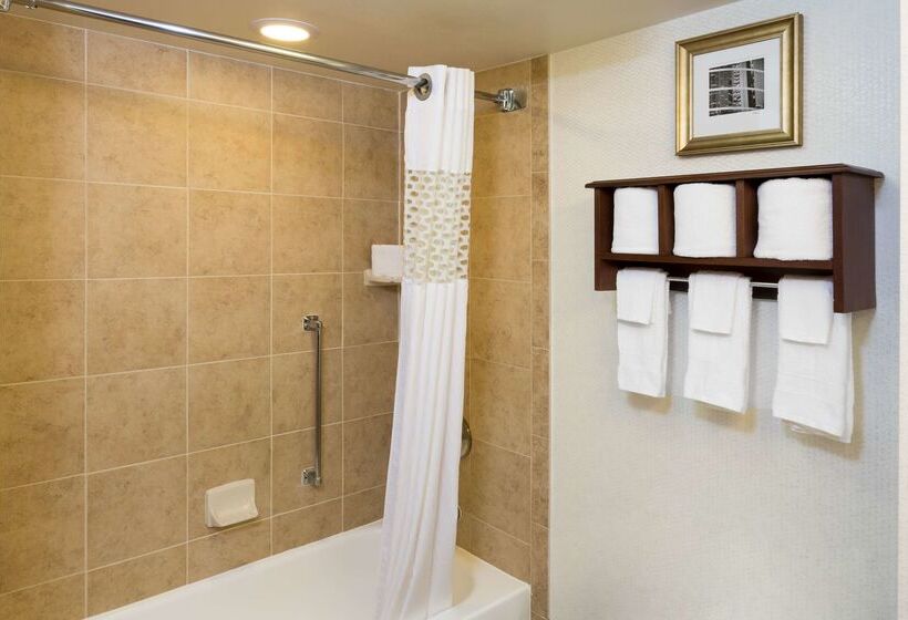 Fotos del hotel Hampton Inn Houston Near The Galleria:  36
