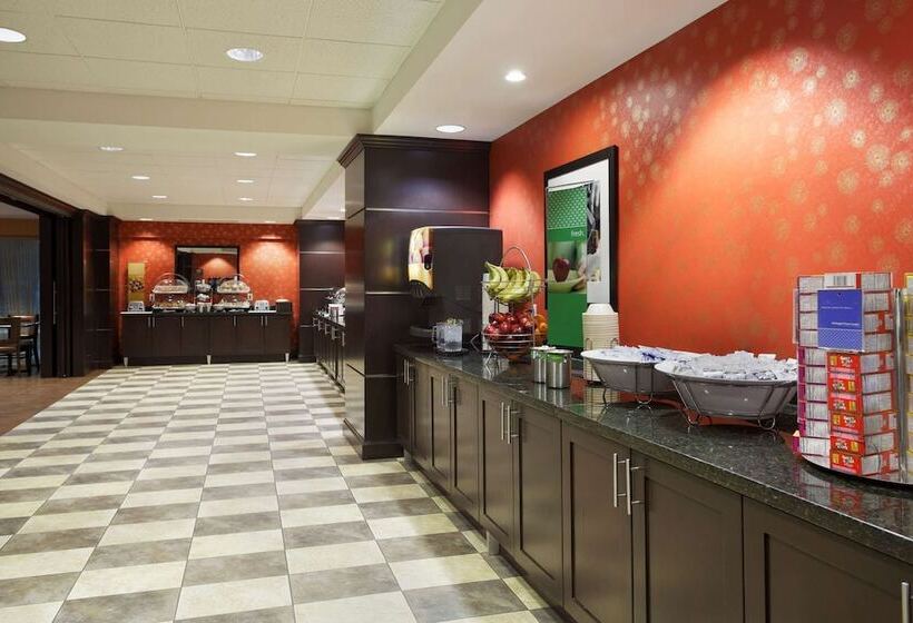 Fotos del hotel Hampton Inn Houston Near The Galleria:  47