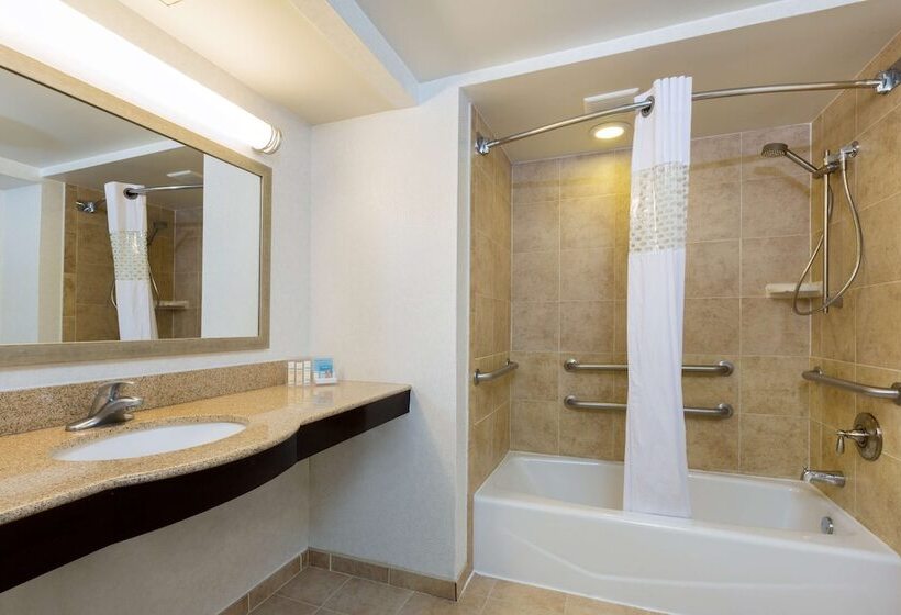 Fotos del hotel Hampton Inn Houston Near The Galleria:  34