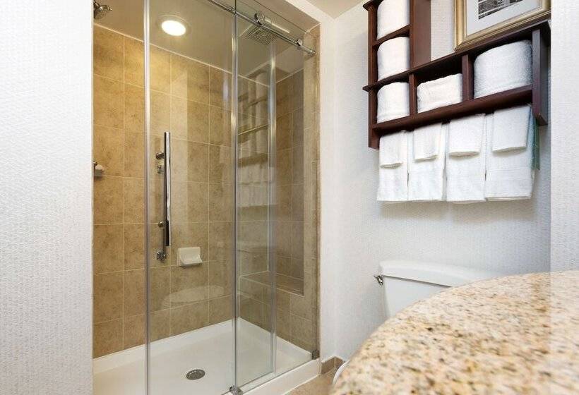 Fotos del hotel Hampton Inn Houston Near The Galleria:  39