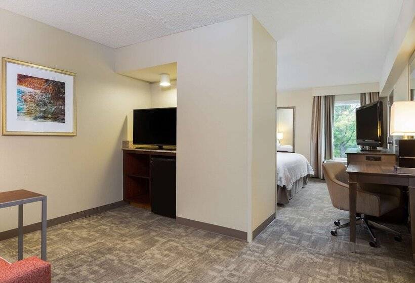 Fotos del hotel Hampton Inn Houston Near The Galleria:  10