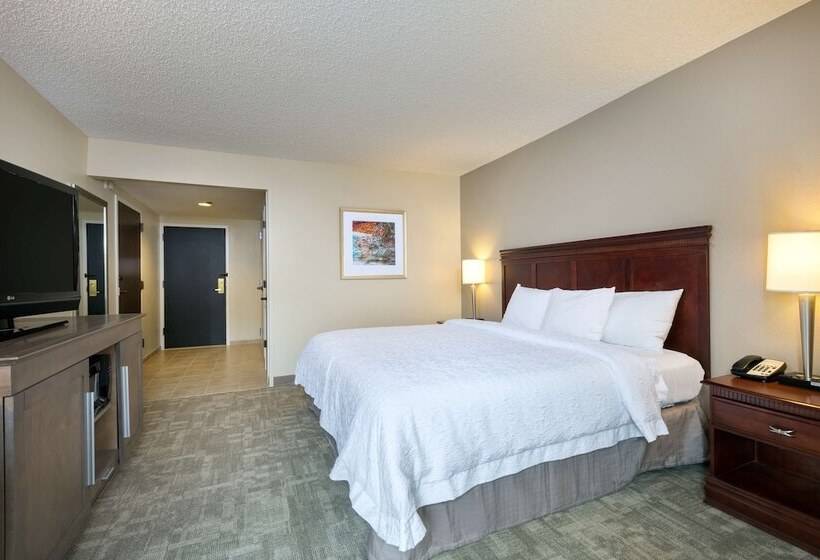 Fotos del hotel Hampton Inn Houston Near The Galleria:  2