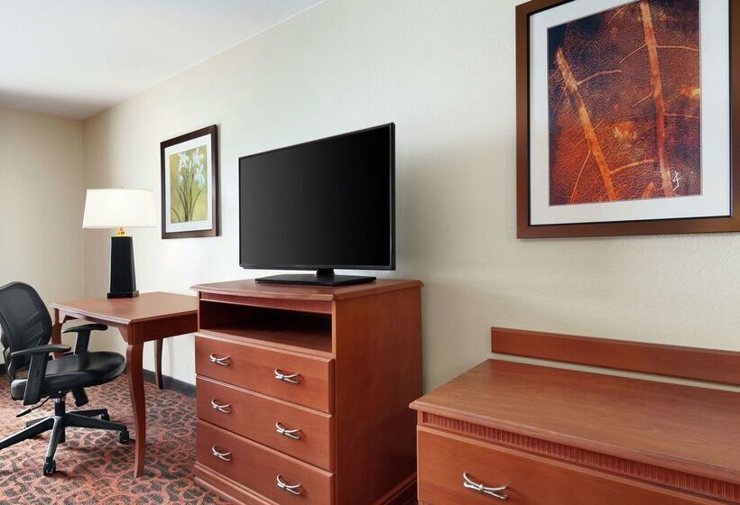 בית מלון כפרי Hampton Inn Houston/stafford