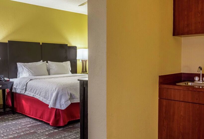 هتل Hampton Inn Jackson/clinton