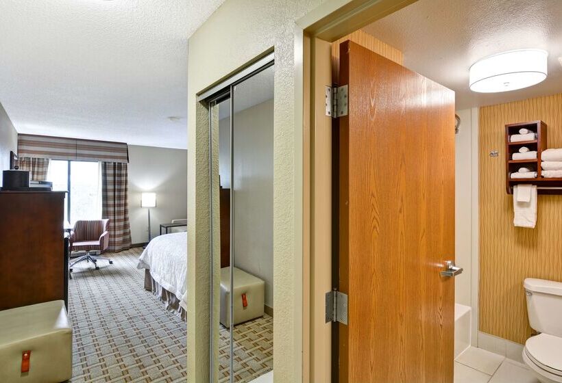 هتل Hampton Inn Jacksonvilledowntowni95